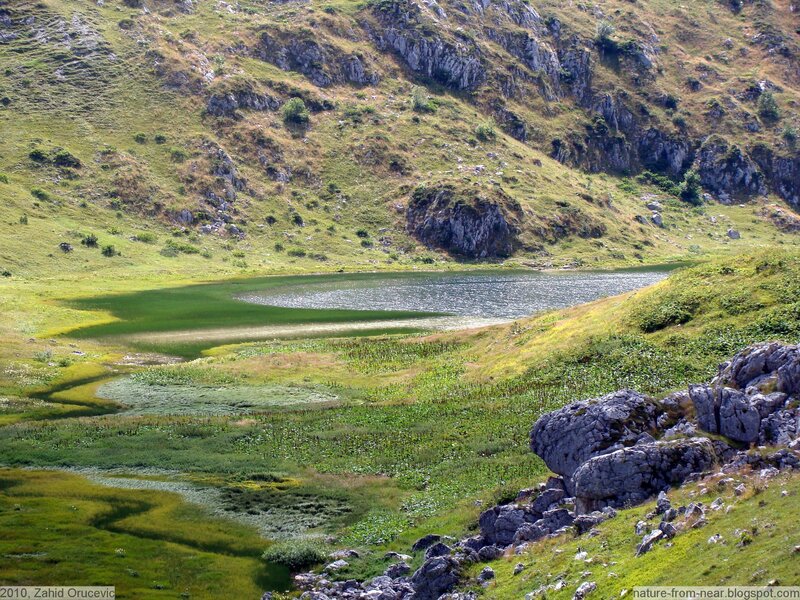 Mountain Lake in Valley — Green, Serene