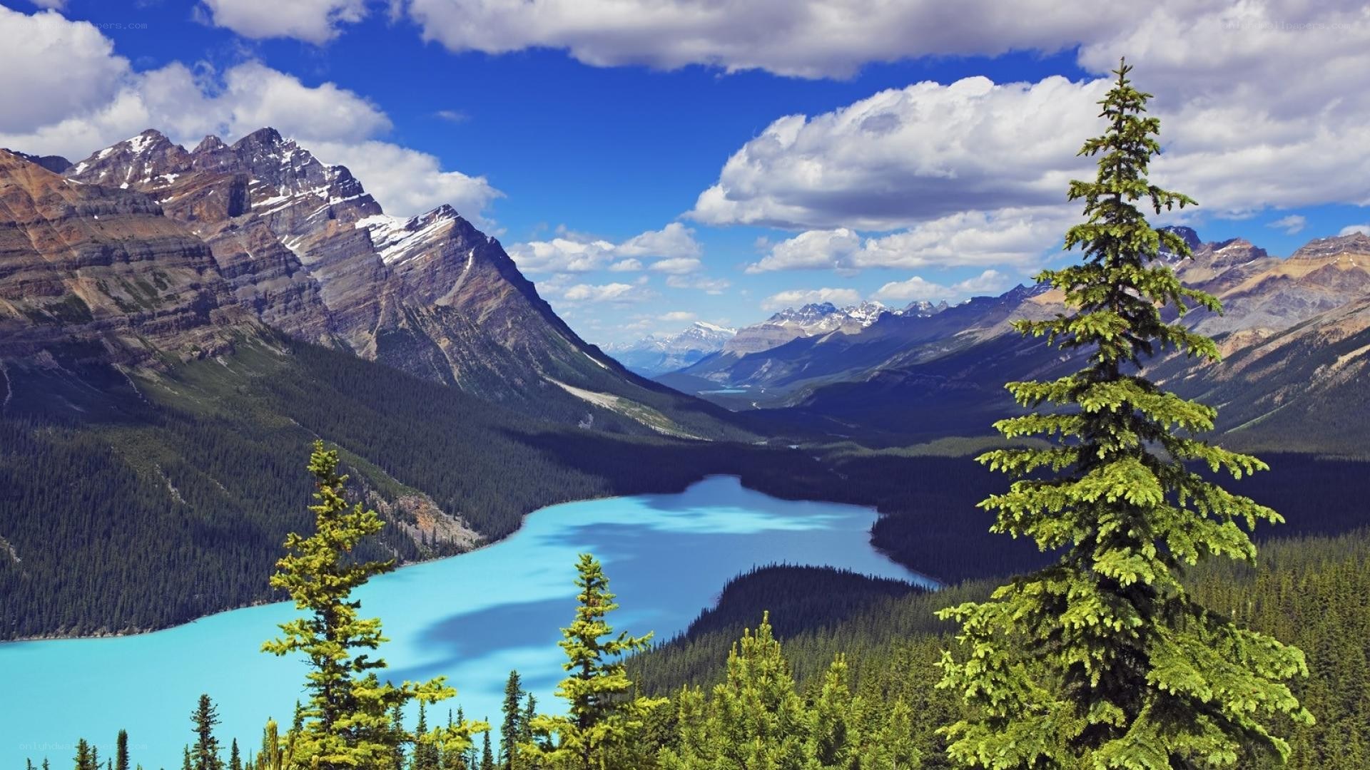 Mountain lake landscape