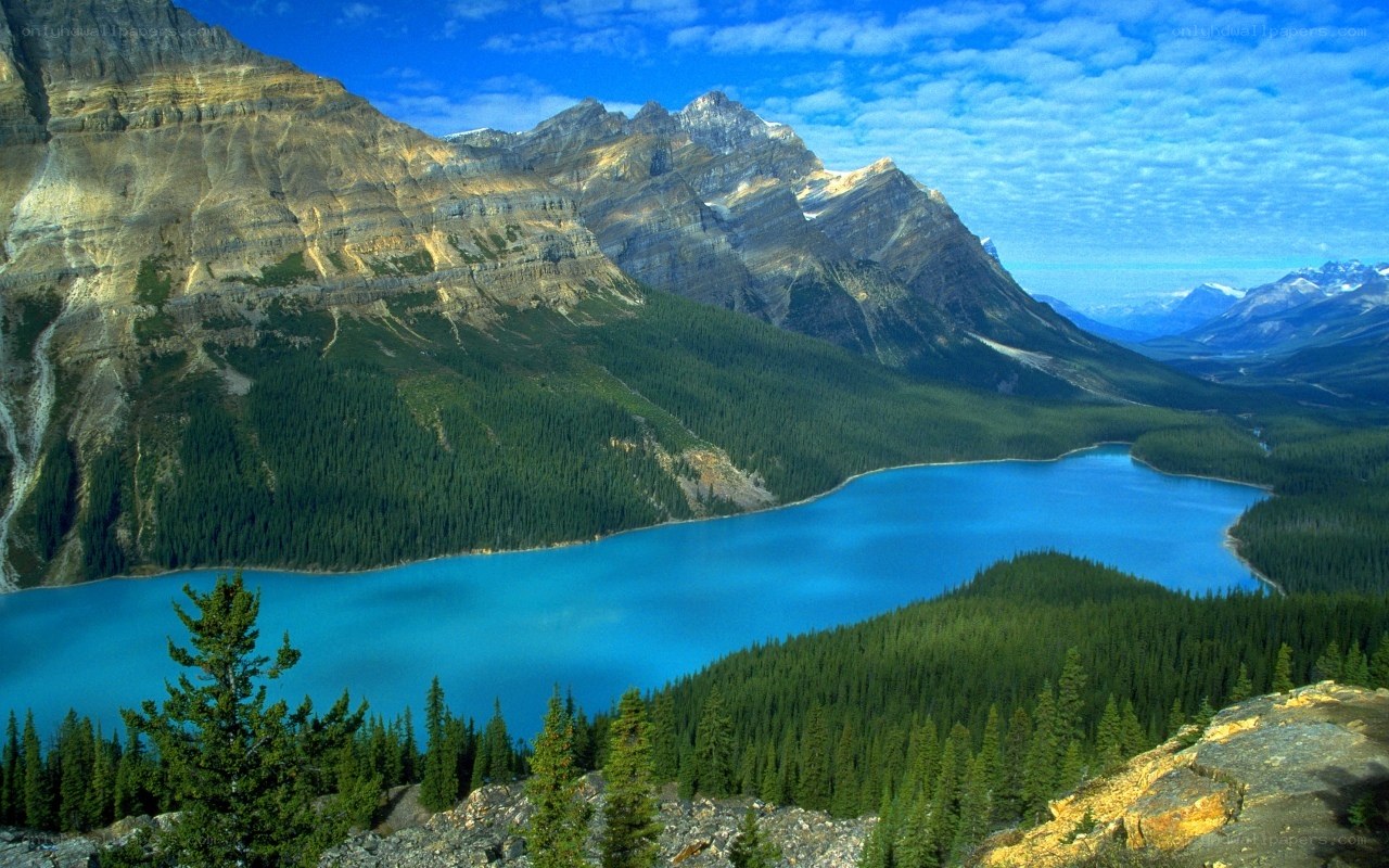 Mountain lake landscape
