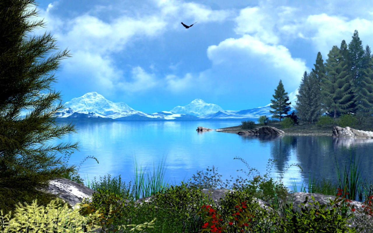 Mountain lake landscape