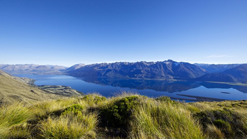 Mountain Lake Landscape — Afternoon, Grass
