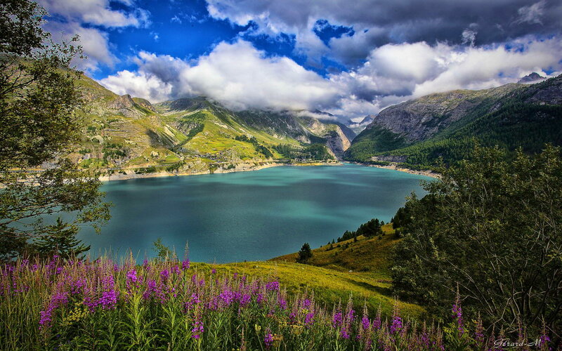 Mountain Lake Landscape — Blue, Dramatic, Afternoon, Photograph, Flowers