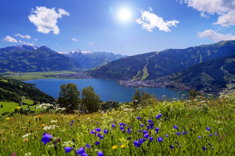 Mountain Lake Landscape — Blue, Serene, Afternoon, Photograph, Flowers