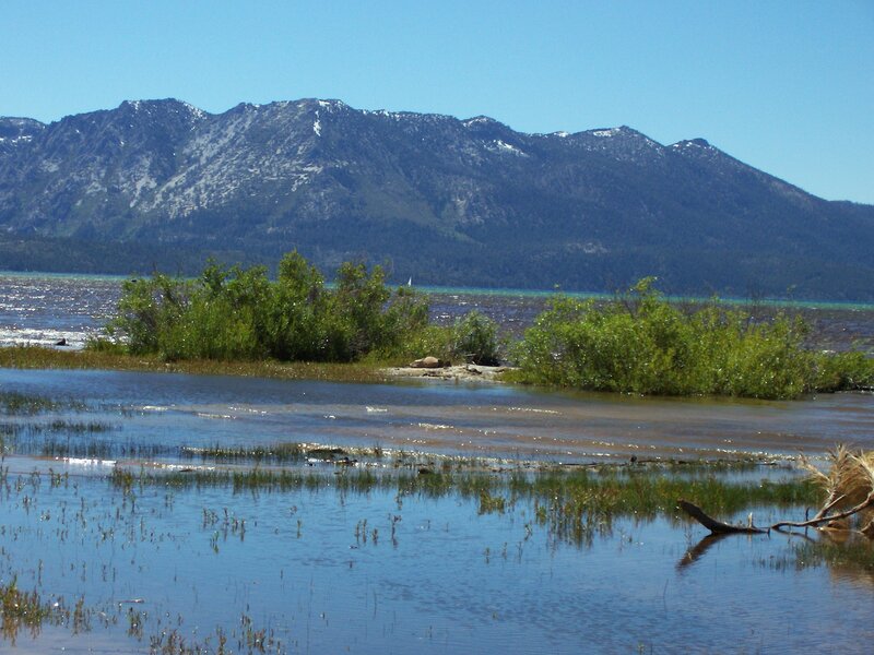 Mountain Lake Landscape — Blue, Serene, Afternoon, Photograph, Mountains, Bushes