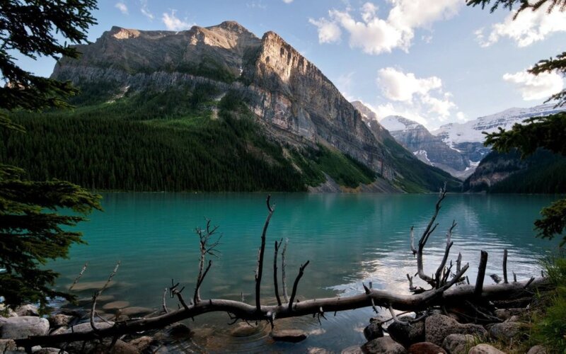 Mountain Lake Landscape — Blue, Serene, Afternoon, Photograph, Trees, Mountains, Driftwood, Green