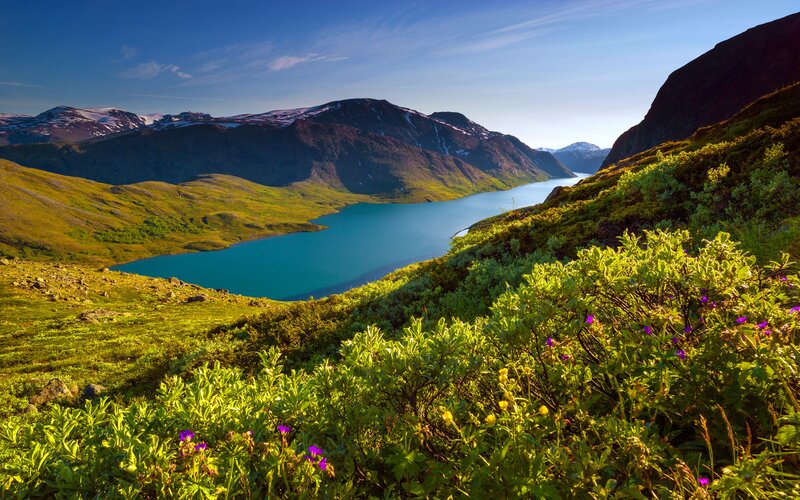 Mountain Lake Landscape — Blue, Serene, Morning, Photograph, Mountains, Flowers, Greenery