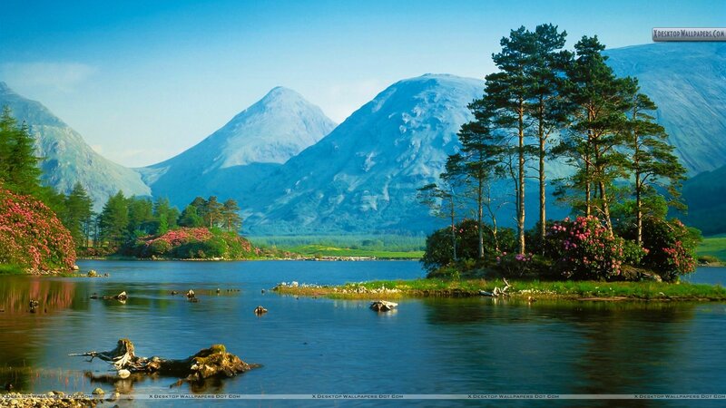 Mountain Lake Landscape — Blue, Serene, Morning, Photograph, Trees