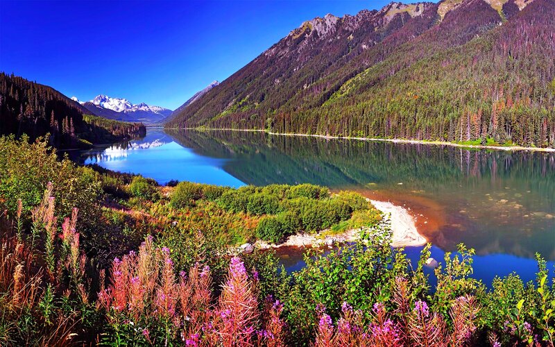 Mountain Lake Landscape — Blue, Serene, Summer, Photograph, Mountains, Forest, Flowers