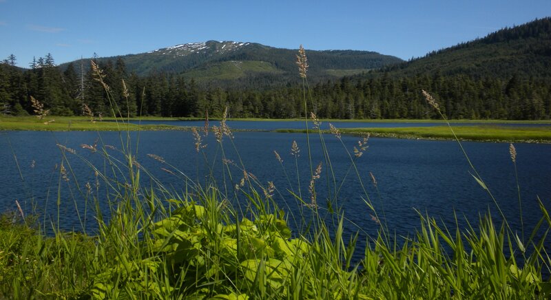 Mountain Lake Landscape — Blue, Serene, Summer, Photograph, Mountains, Forest, Grass