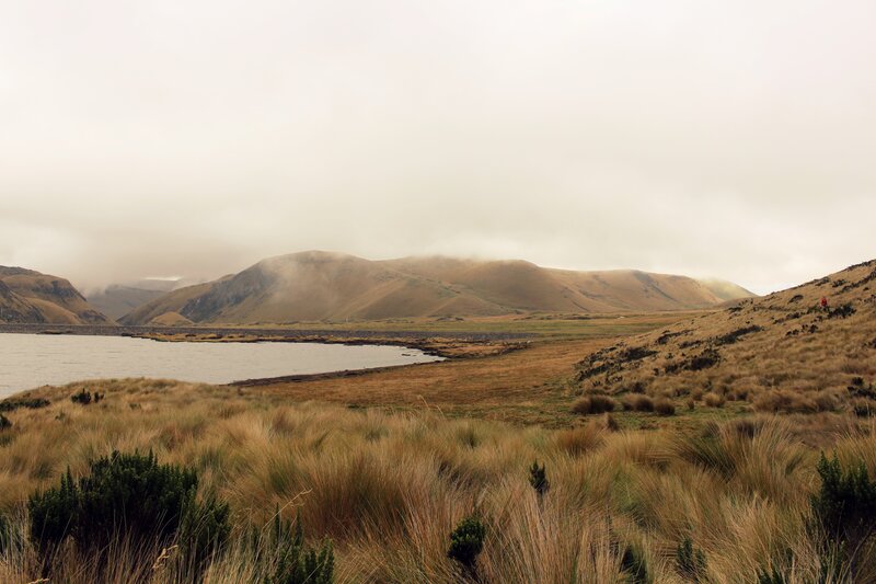 Mountain Lake Landscape — Brown, Overcast
