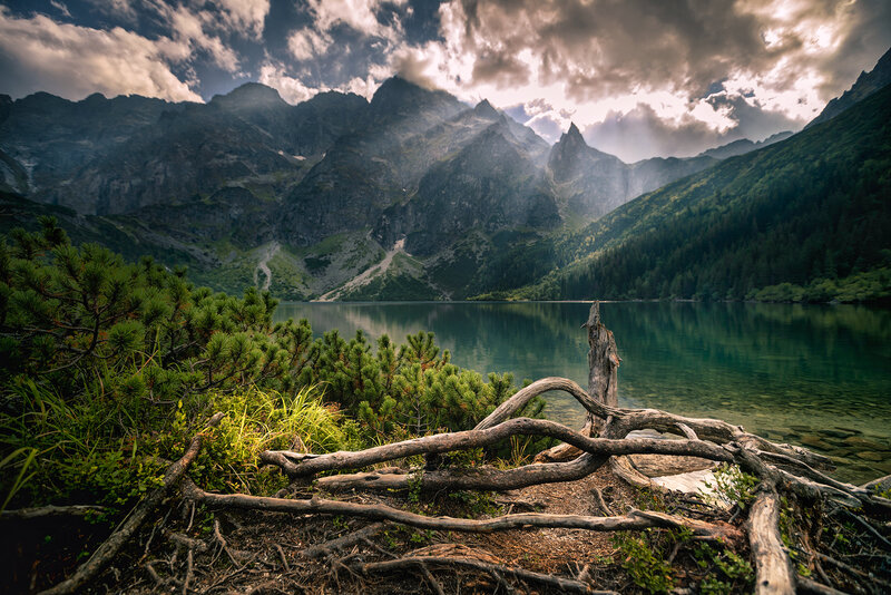 Mountain Lake Landscape — Green, Dramatic, Afternoon, Photograph, Mountains, Trees, Driftwood