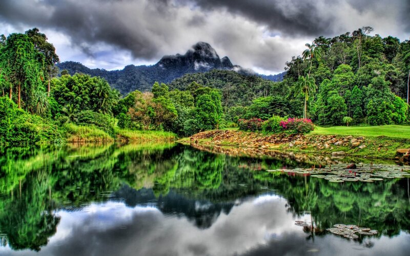 Mountain Lake Landscape — Green, Dramatic, Afternoon, Photograph, Trees, Clouds, Lily Pads