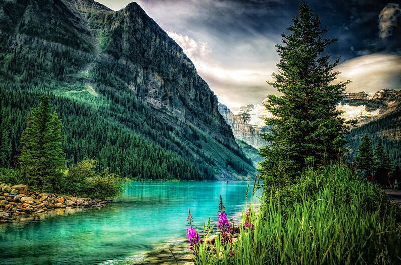 Mountain Lake Landscape — Green, Dramatic, Afternoon, Photograph, Trees, Flowers, Mountains