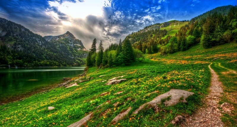 Mountain Lake Landscape — Green, Dramatic, Afternoon, Photograph, Trees, Flowers, Path