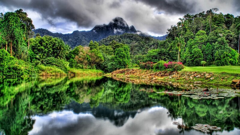 Mountain Lake Landscape — Green, Dramatic, Afternoon, Photograph, Trees, Lily Pads