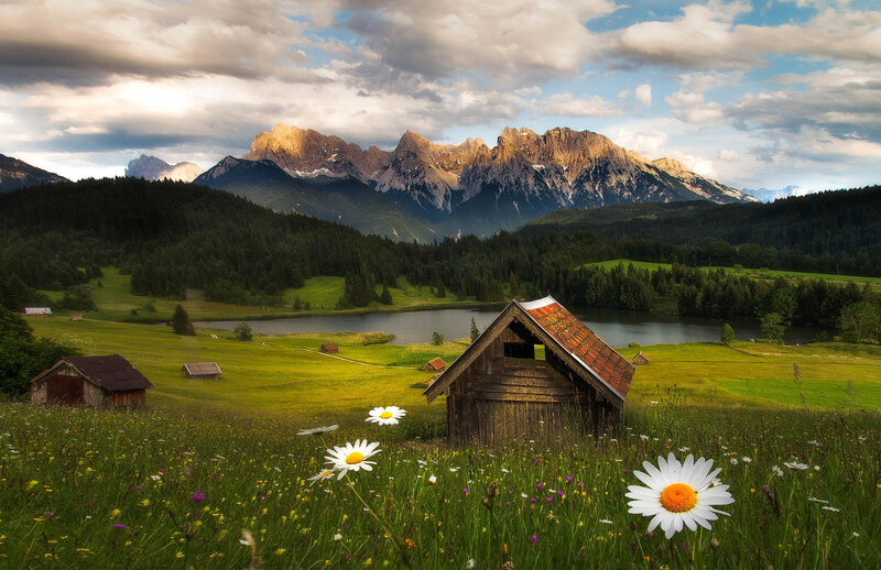 Mountain Lake Landscape — Green, Serene, Afternoon, Photograph, Daisies