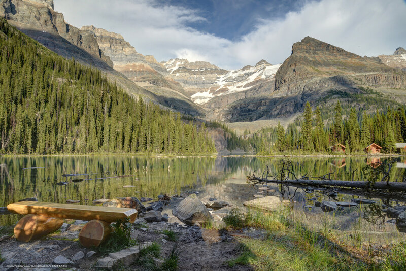 Mountain Lake Landscape — Green, Serene, Afternoon, Photograph, Forest, Cabin