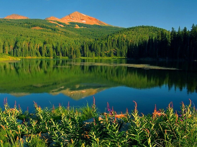 Mountain Lake Landscape — Green, Serene, Afternoon, Photograph, Forest