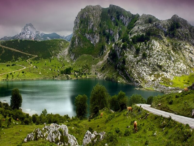 Mountain Lake Landscape — Green, Serene, Afternoon, Photograph, Mountains, Cows