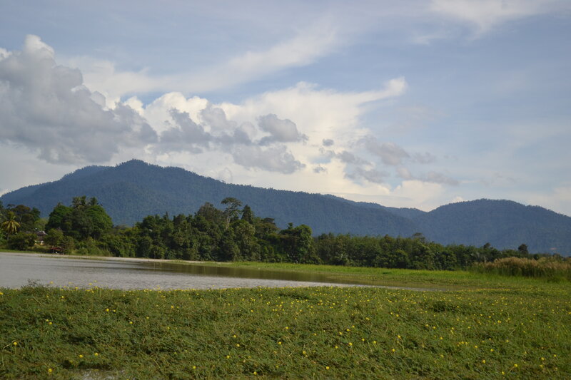 Mountain Lake Landscape — Green, Serene, Afternoon, Photograph, Mountains