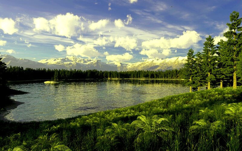Mountain Lake Landscape — Green, Serene, Afternoon, Photograph, Snow-capped Mountains, Pine Trees