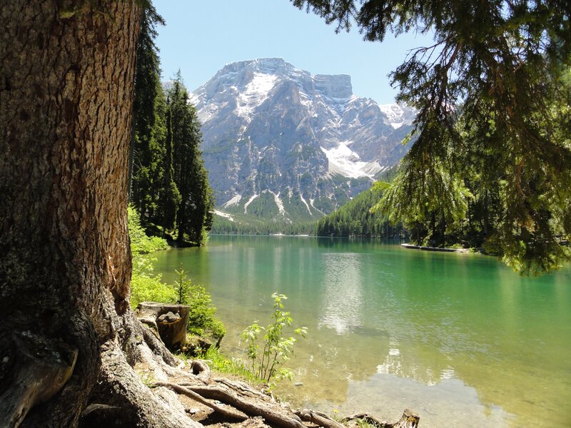 Mountain Lake Landscape — Green, Serene, Afternoon, Photograph, Tree, Forest