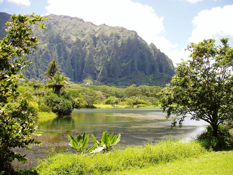 Mountain Lake Landscape — Green, Serene, Afternoon, Photograph, Trees, Grass