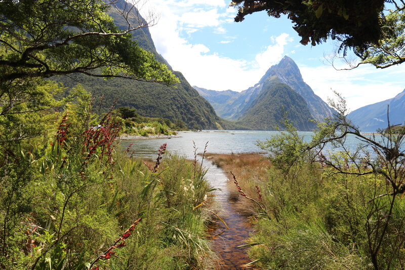 Mountain Lake Landscape — Green, Serene, Afternoon, Photograph, Trees, Mountains, Stream