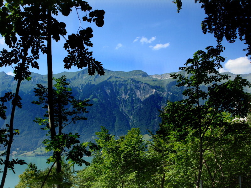 Mountain Lake Landscape — Green, Serene, Afternoon, Photograph, Trees, Mountains