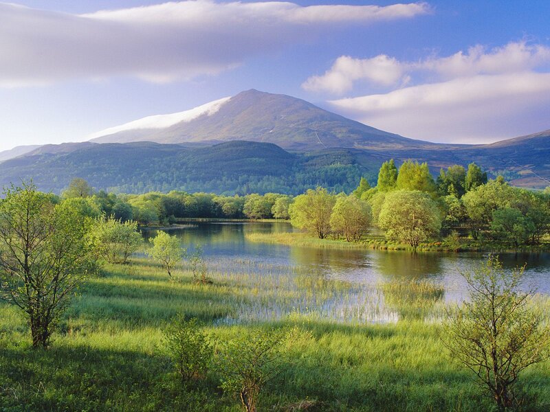 Mountain Lake Landscape — Green, Serene, Morning, Photograph, Trees