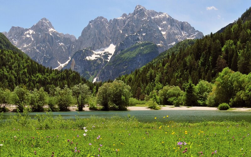 Mountain Lake Landscape — Green, Serene, Summer, Photograph, Mountains, Forest, River, Flowers