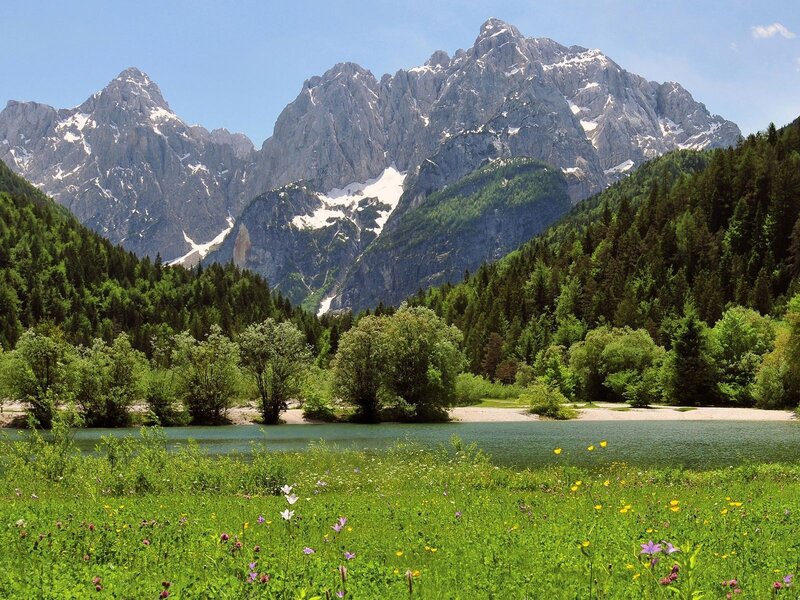 Mountain Lake Landscape — Green, Serene, Summer, Photograph, Mountains, Forest, River