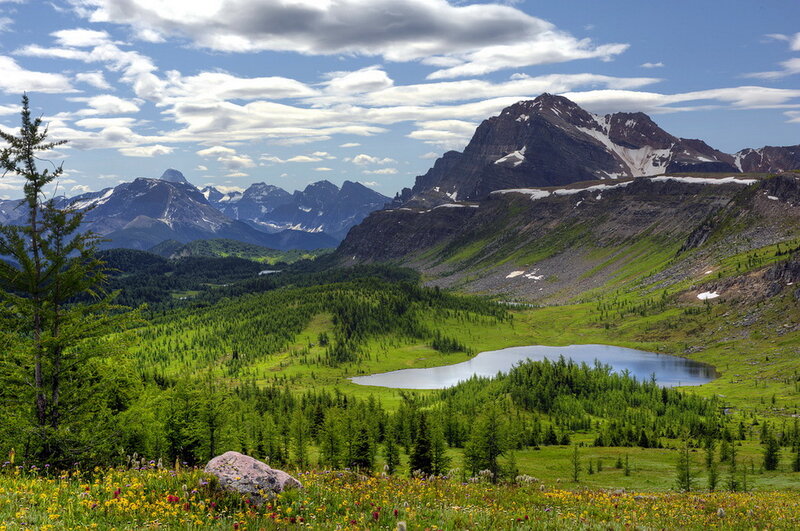 Mountain Lake Landscape — Green, Serene, Summer, Photograph, Mountains, Trees