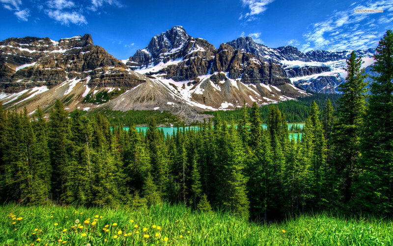 Mountain Lake Landscape — Green, Serene, Summer, Photograph, Trees, Snow