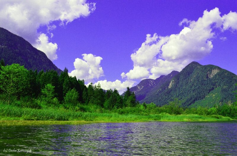 Mountain Lake Landscape — Purple, Serene, Afternoon