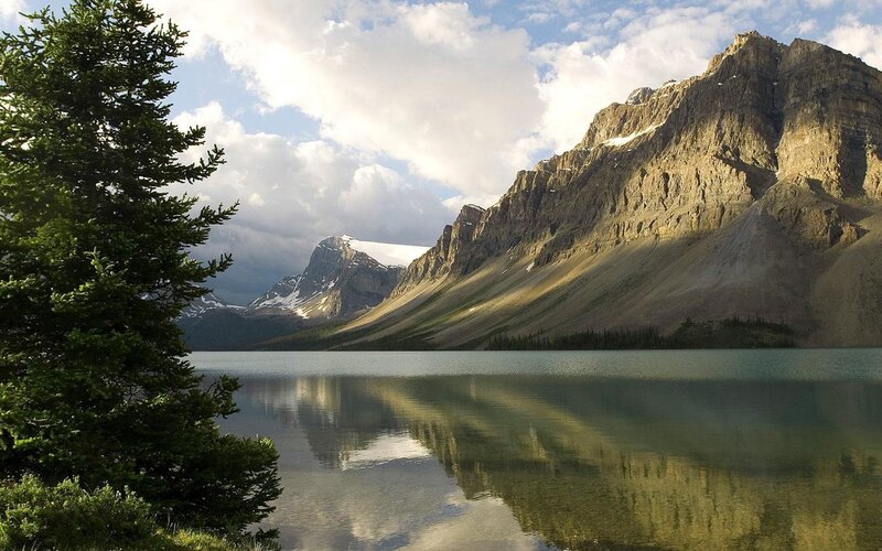 Mountain Lake Landscape — Tree