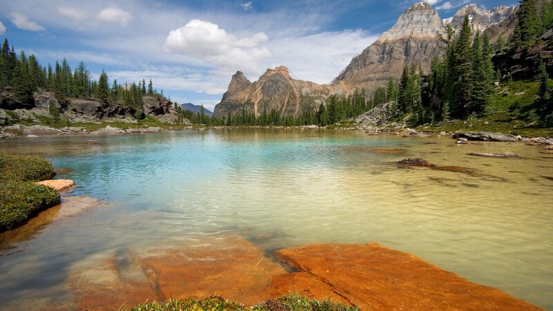 Mountain Lake Landscape — Trees, Brown