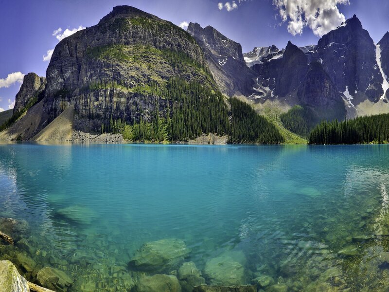 Mountain Lake Landscape — Trees, Gray