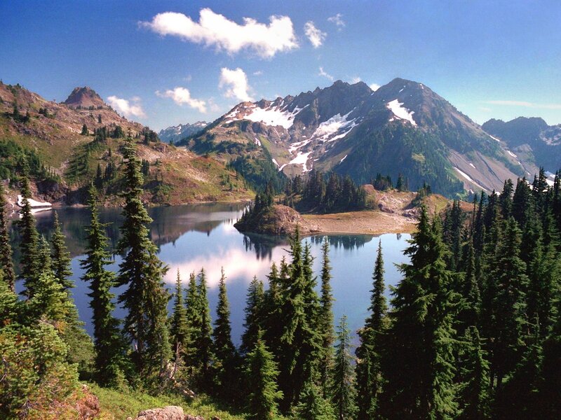 Mountain Lake Landscape — Trees, Green