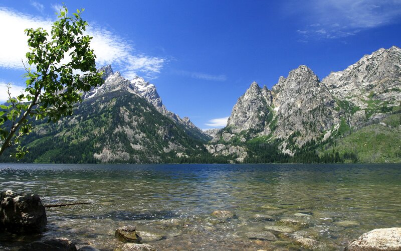 Mountain Lake Landscape — Trees, Rocks