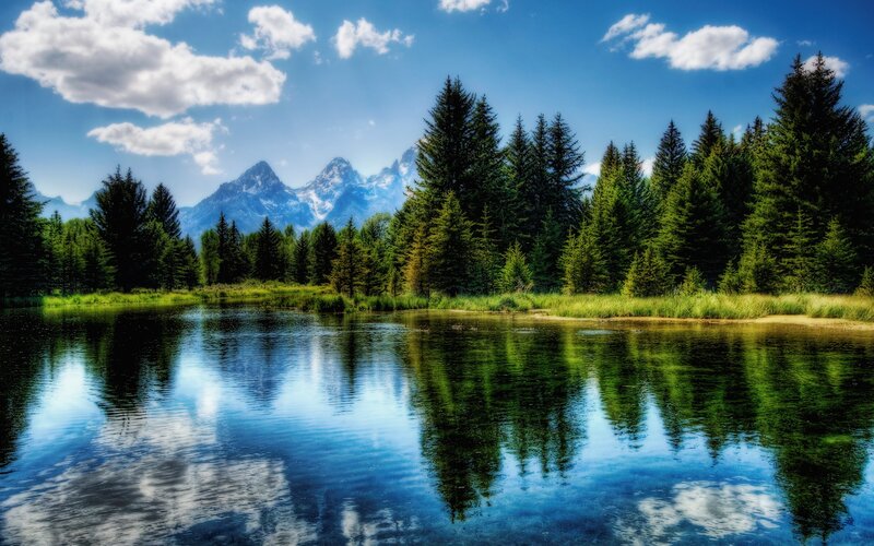 Mountain Lake Landscape — Trees, Sky
