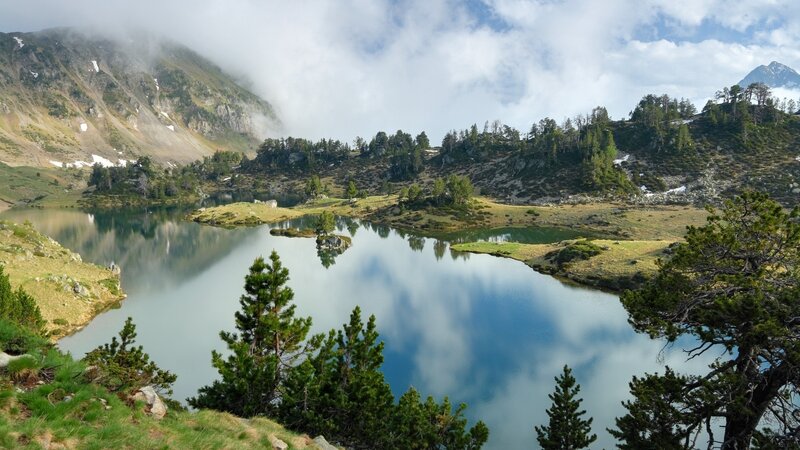 Mountain Lake Landscape — Trees, White