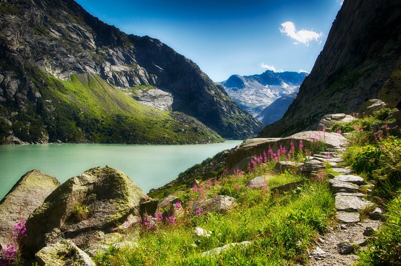 Mountain Lake Path — Green