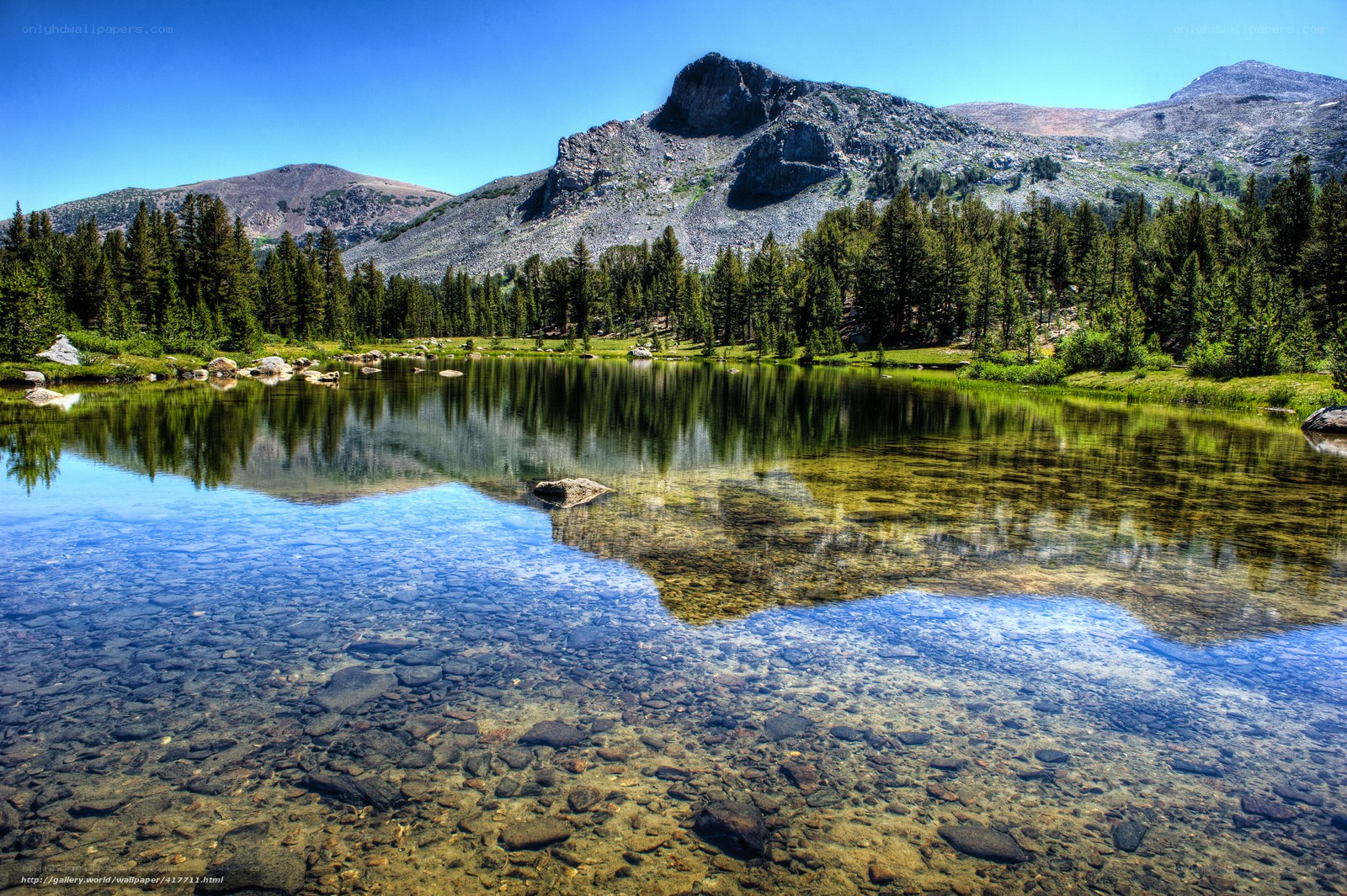 Mountain lake reflection