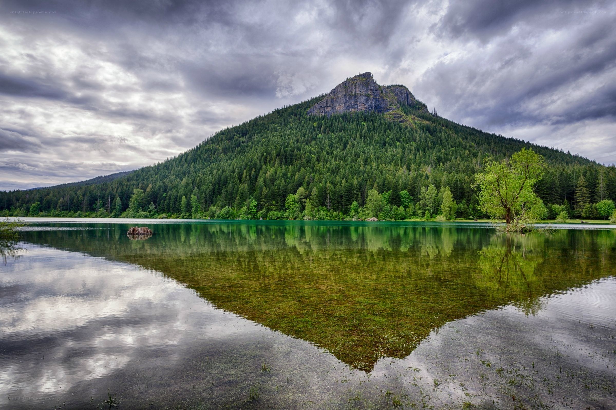 Mountain lake reflection