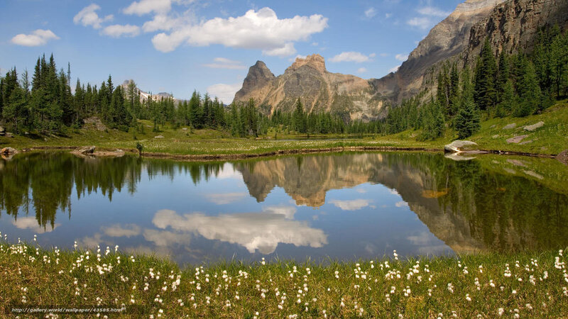 Mountain lake reflection