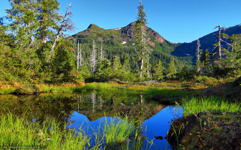 Mountain lake reflection
