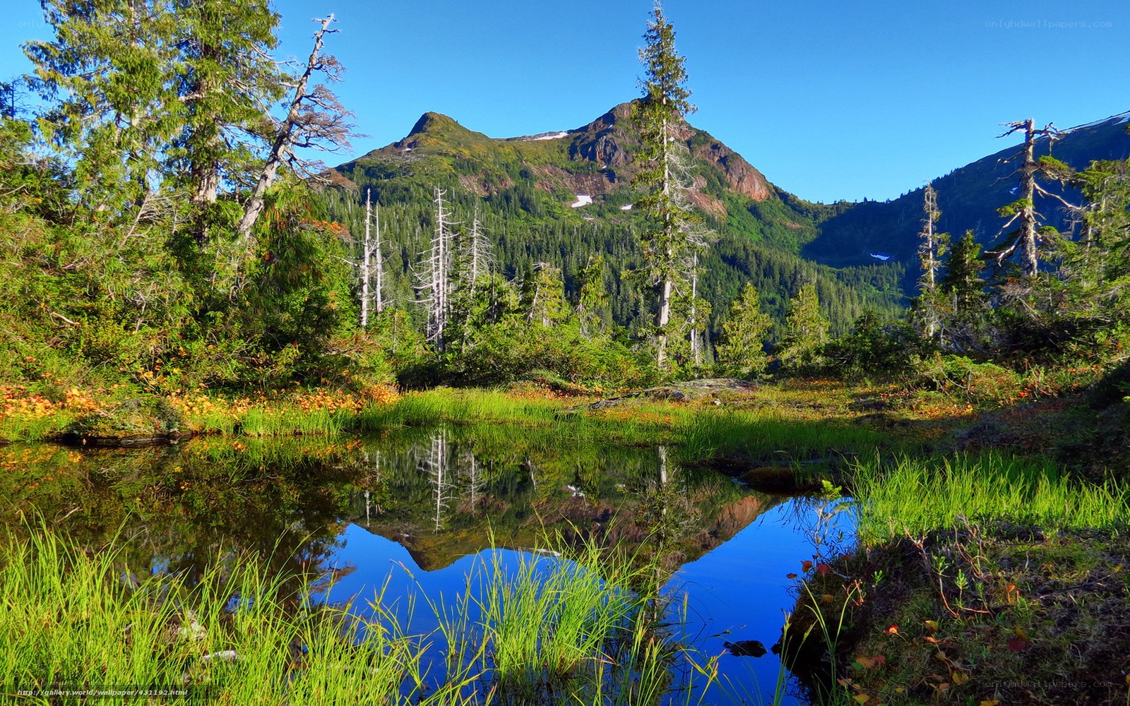 Mountain lake reflection