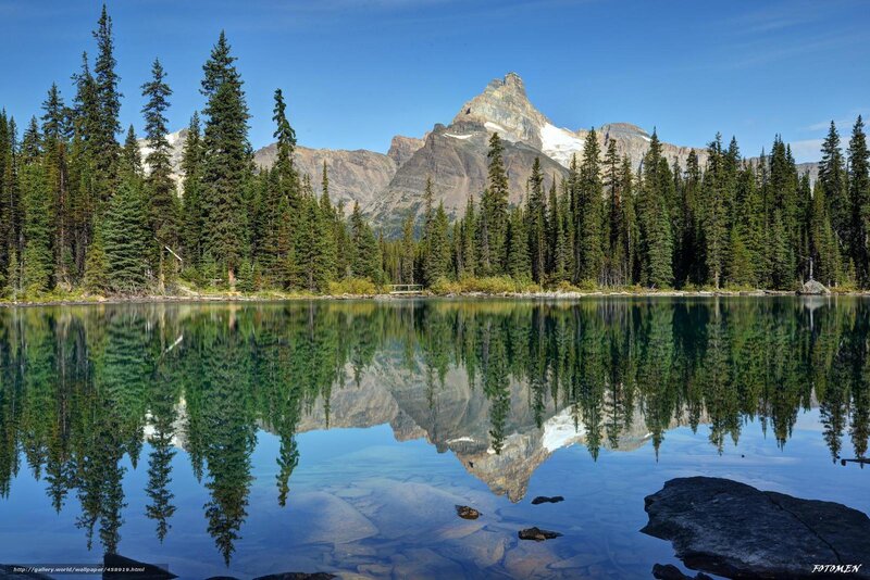Mountain lake reflection