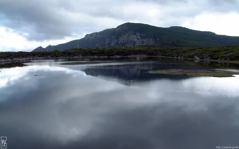 Mountain lake reflection